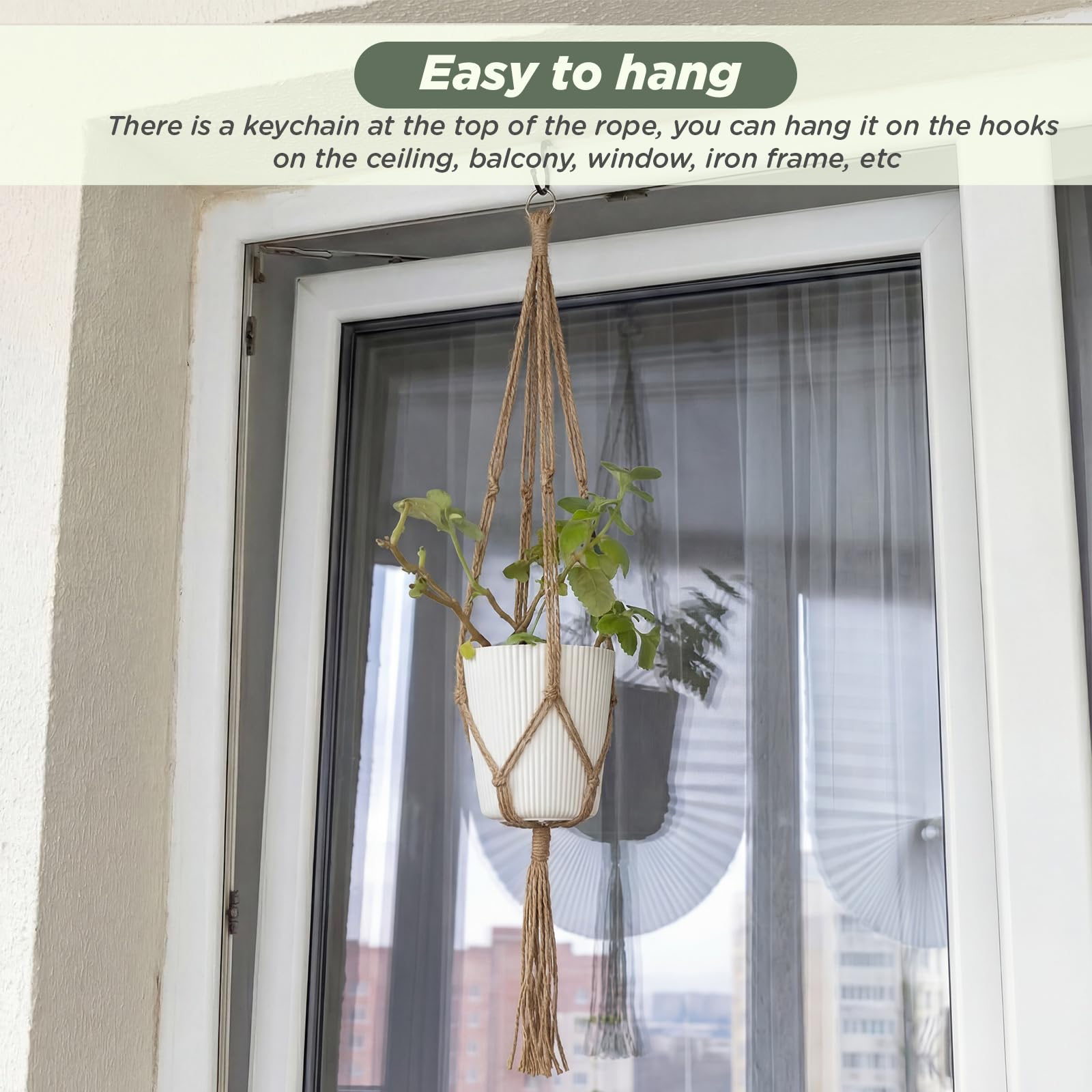 EBOOT two-hanger package ready for gifting or storage.