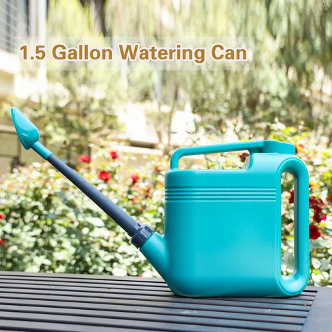 Ebristar Aquamarine lightweight, durable plastic design for indoor and outdoor use