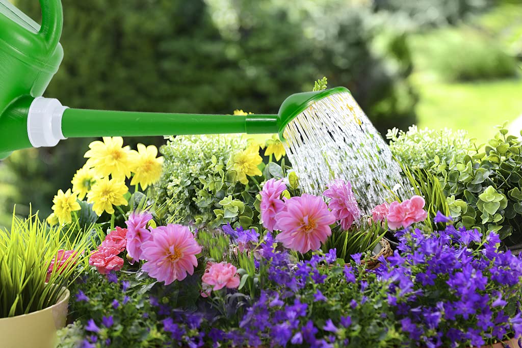 Ebristar green watering can ideal for home gardens and balconies