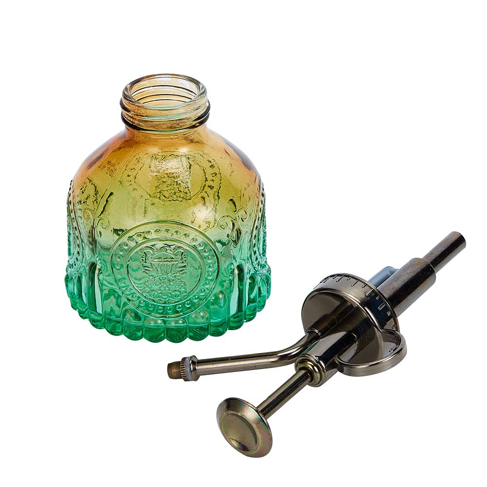 Ebristar small watering can for succulents and ferns indoors.