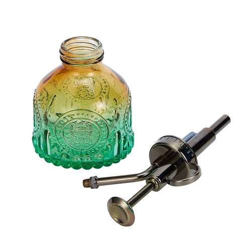 Ebristar small watering can for succulents and ferns indoors.