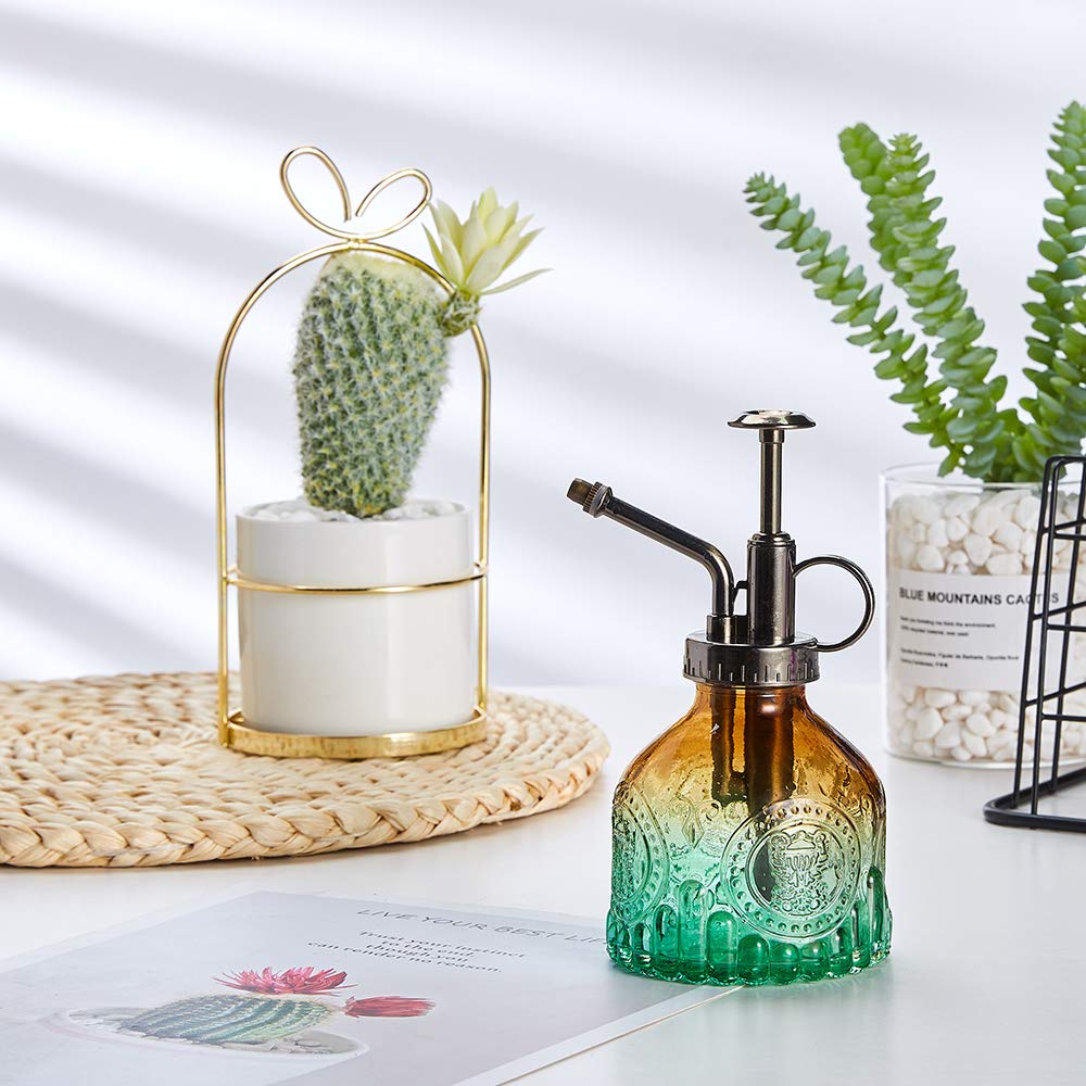 Ebristar thickened-glass bottle designed for gentle, controlled misting.