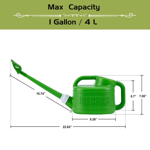 Ebristar 1-gallon capacity watering pot for less frequent refills