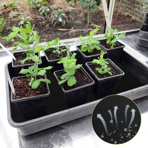 eccandiedhaws greenhouse moisture management for thriving plants