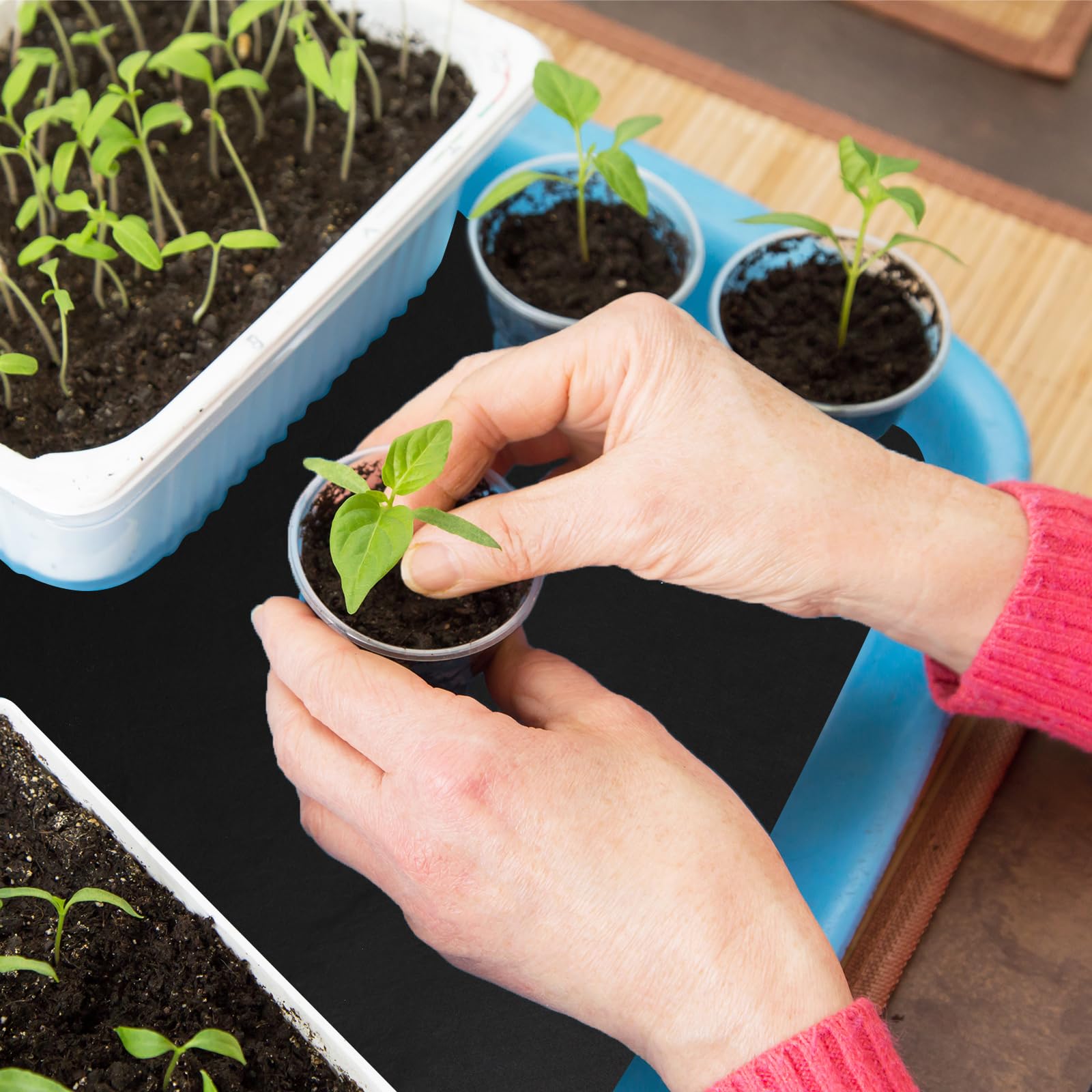 eccandiedhaws watering mat cut-to-fit tray demonstrates customization