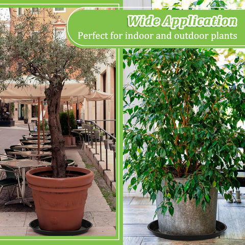 Eccliy versatile saucer ideal for indoor gardens and patio setups.