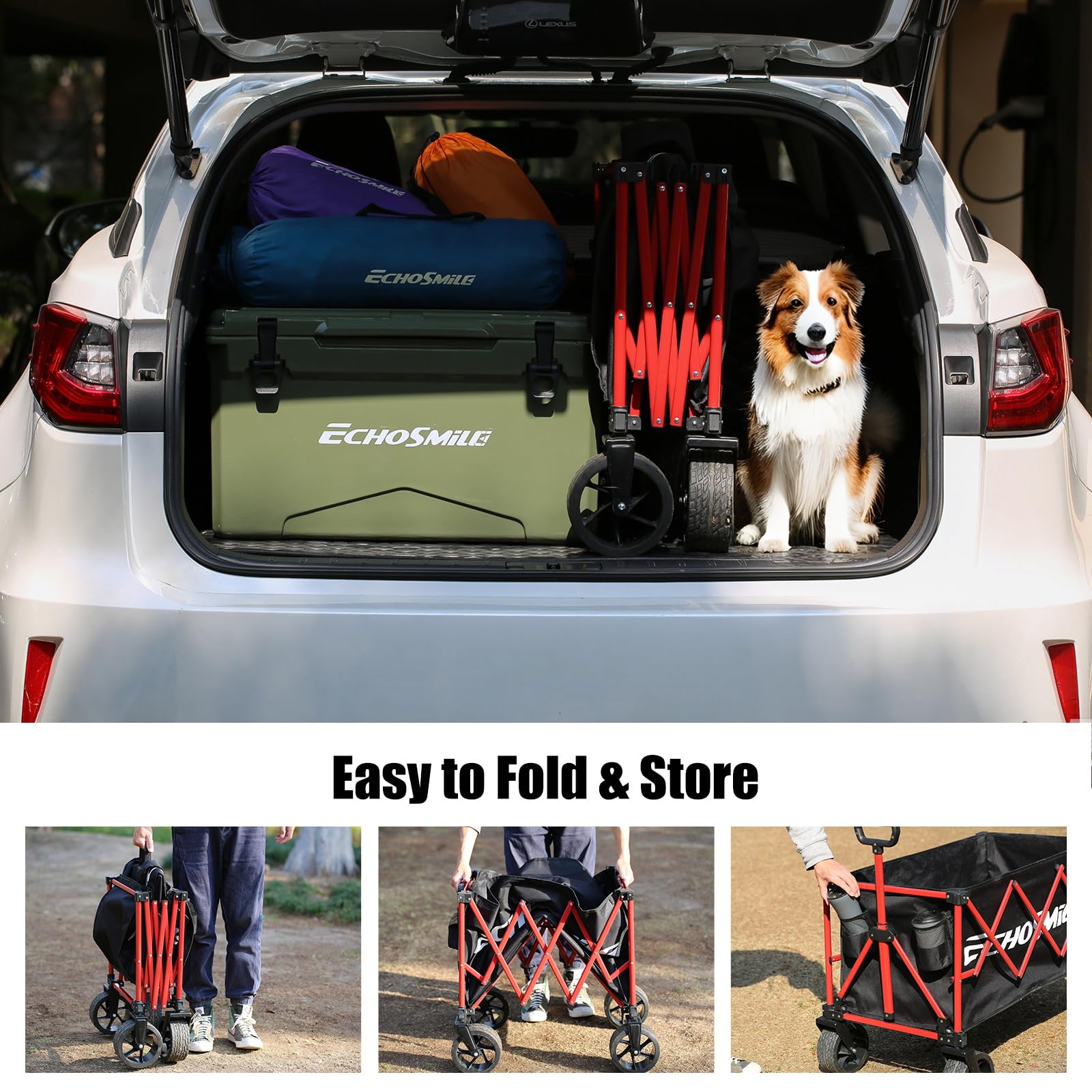 EchoSmile wagon navigates sand and grass, demonstrating all-terrain capability.