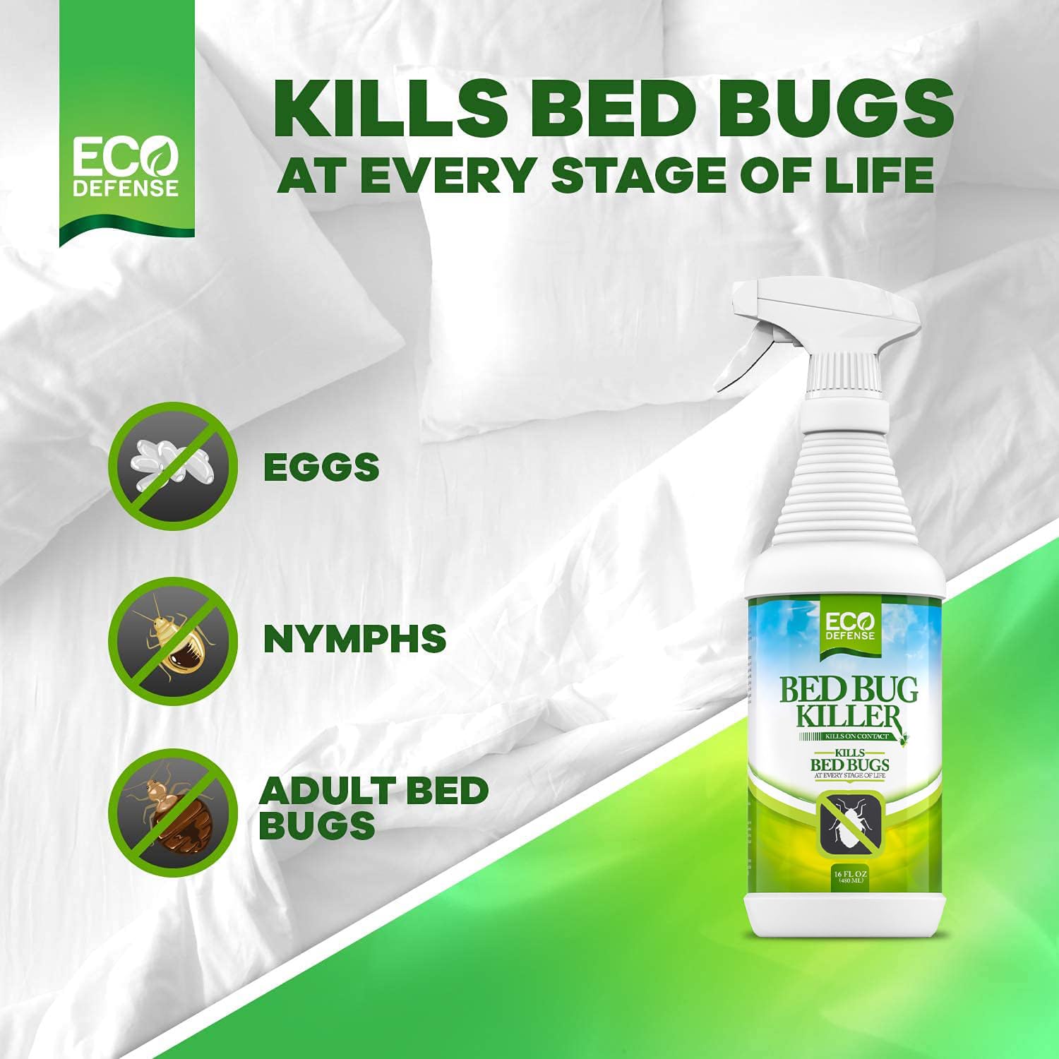 Eco Defense Bed Bug Killer packaging with instruction card and natural ingredients.