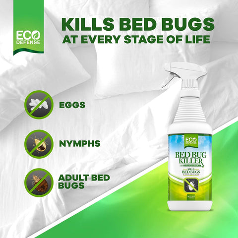 Eco Defense Bed Bug Killer packaging with instruction card and natural ingredients.