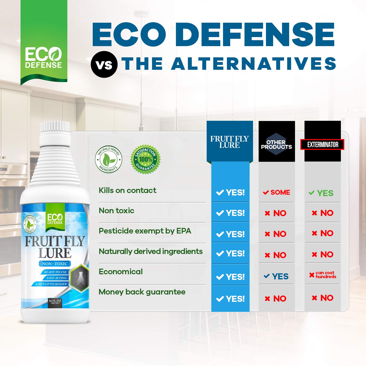 Eco Defense Fruit Fly Trap dish placement shows quick capture in indoor spaces