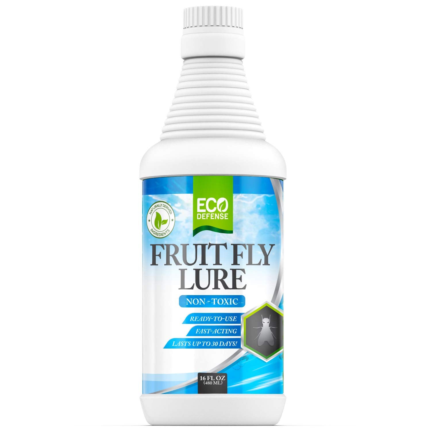 Eco Defense Fruit Fly Trap in dish setup captures flies safely near food