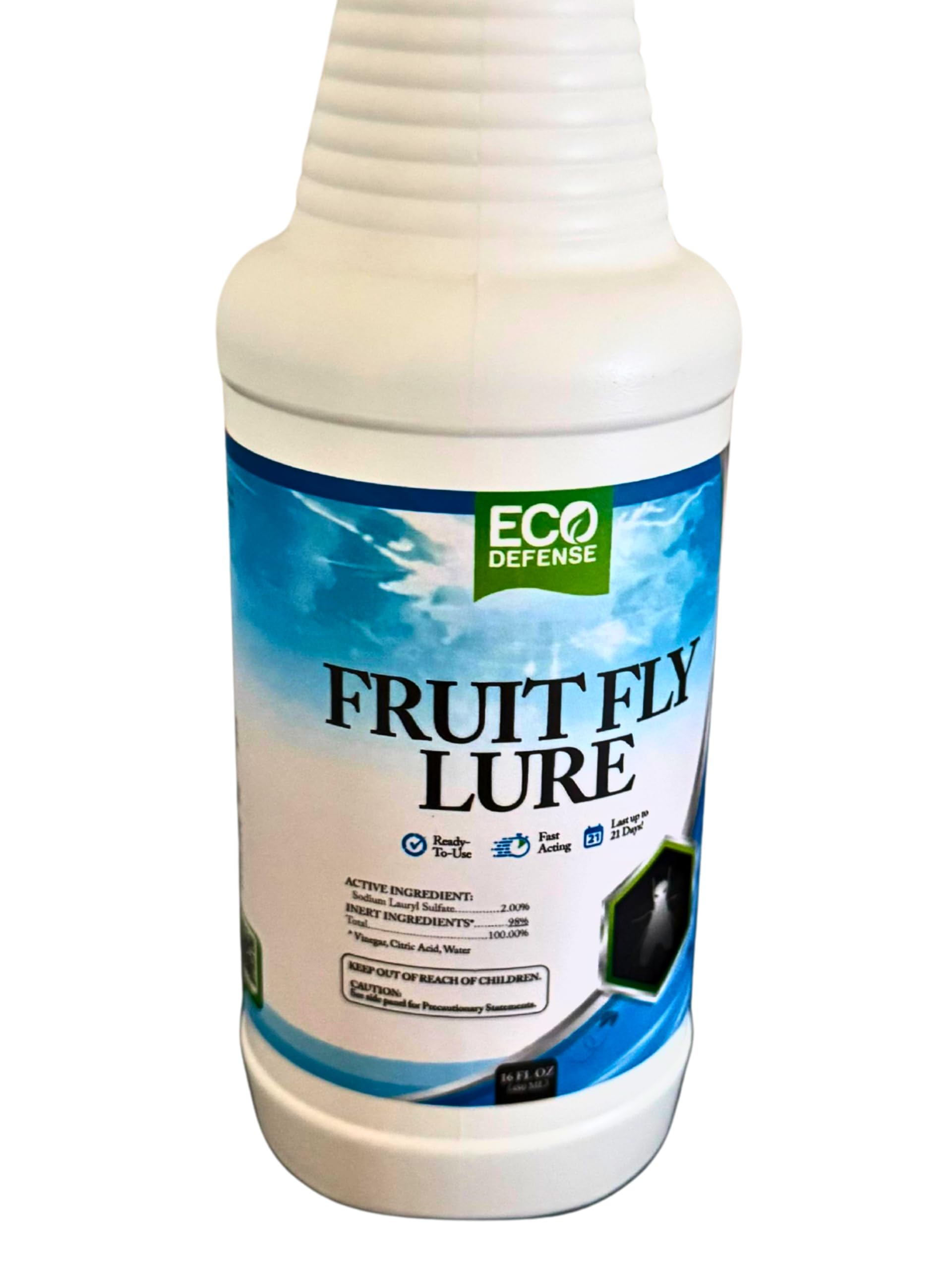 Eco Defense Fruit Fly Trap store display highlights product visibility and appeal