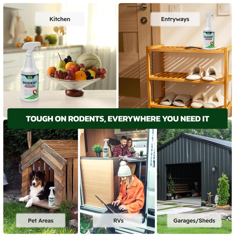 Eco Defense kitchens and pantry edges spray keeps stored food areas less inviting.