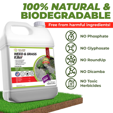 Eco Garden Pro 2-gallon pack ideal for lawns and beds.