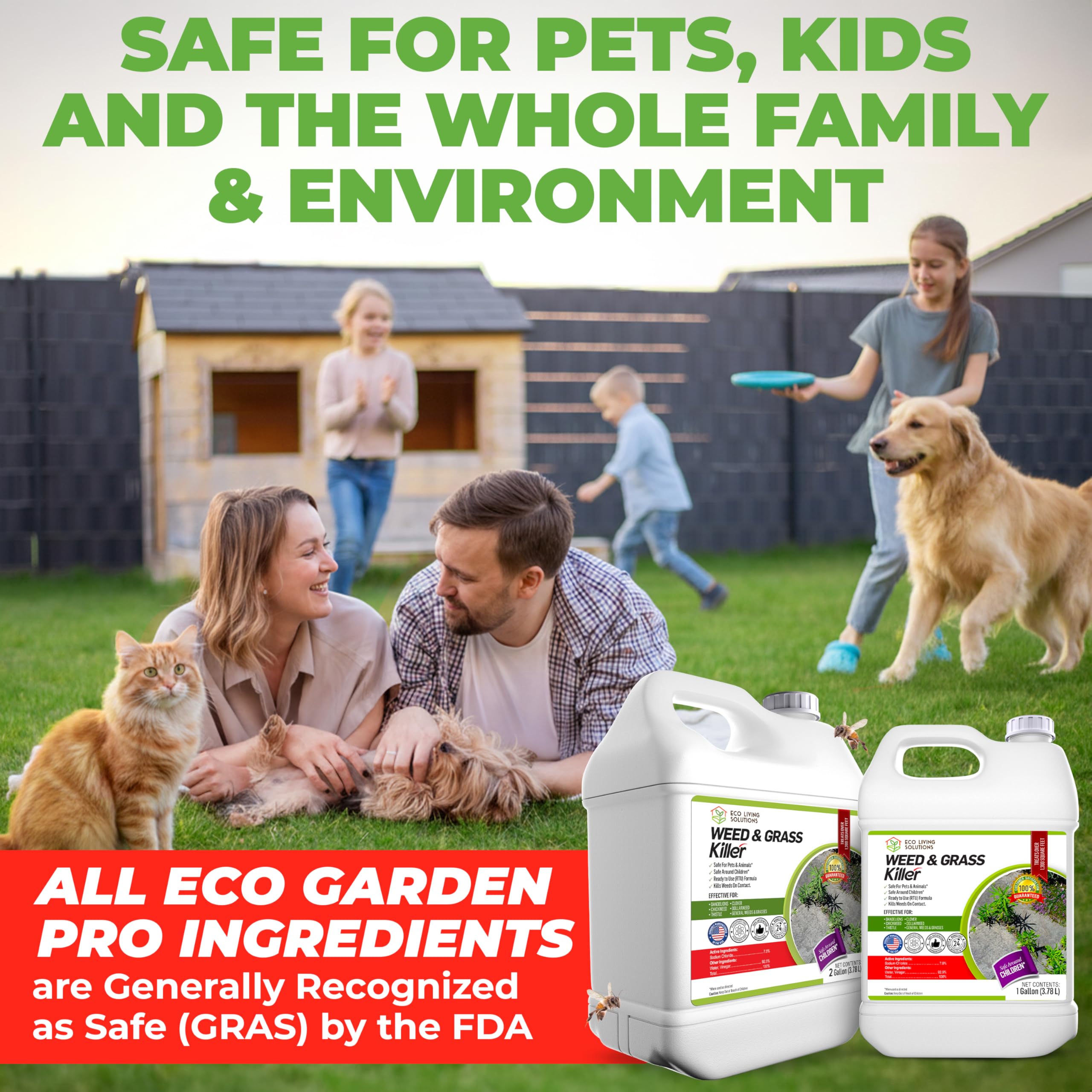 Eco Garden Pro application on driveway showing treatment within 24 hours.