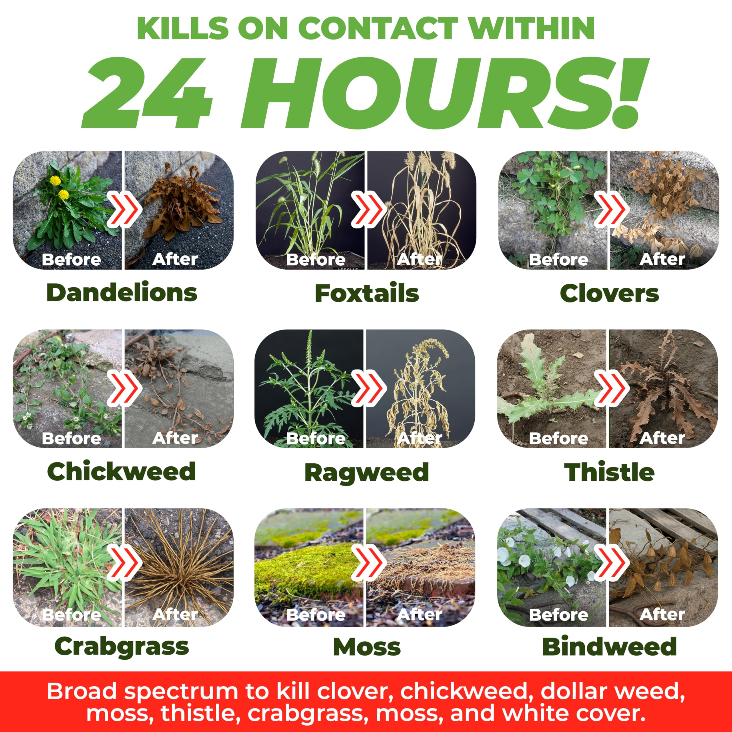 ECO Garden Pro weed-kill action in a garden setting delivering fast results.