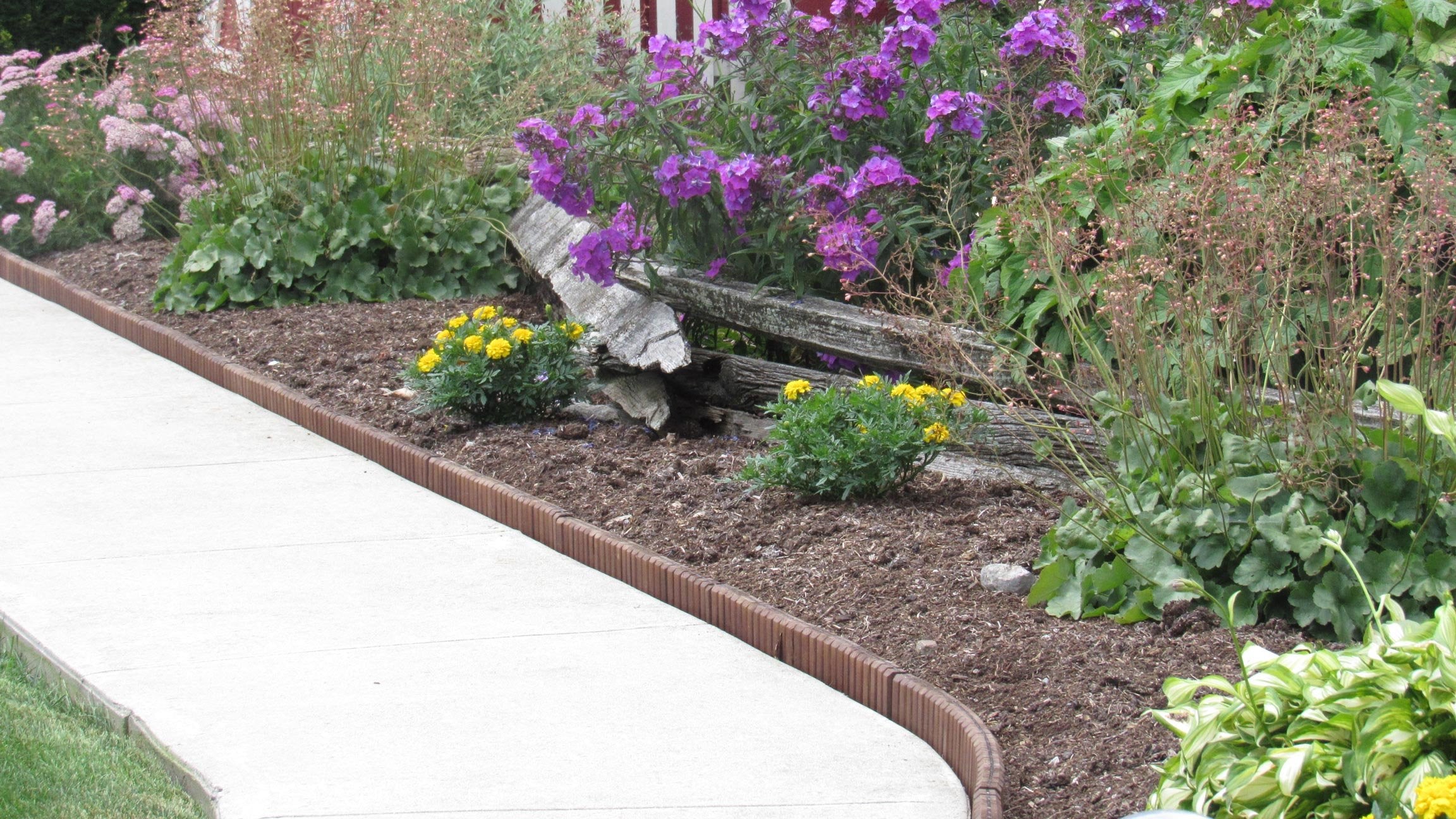Eco-Green wood edging installed naturally around paths and walkways.