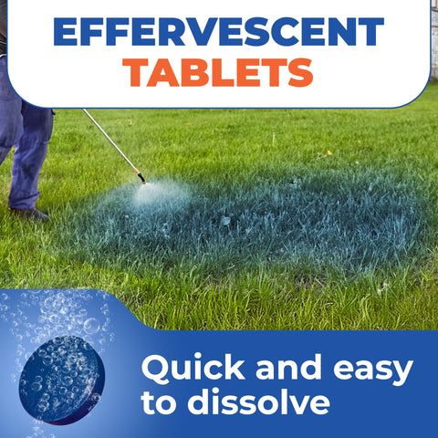 Eco Living Solutions blue spray visible in the tank to guide precise application.