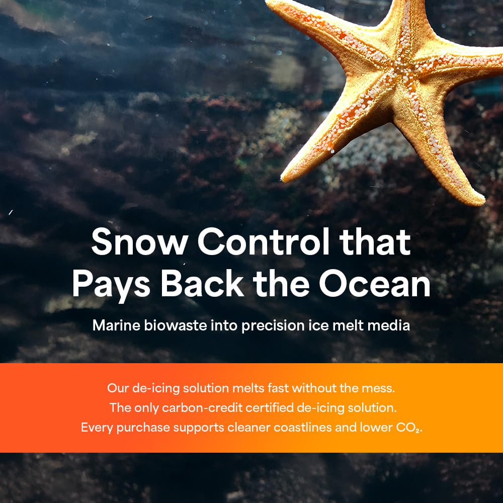 ECO-ST pet safe paws image highlights paw-friendly winter safety.