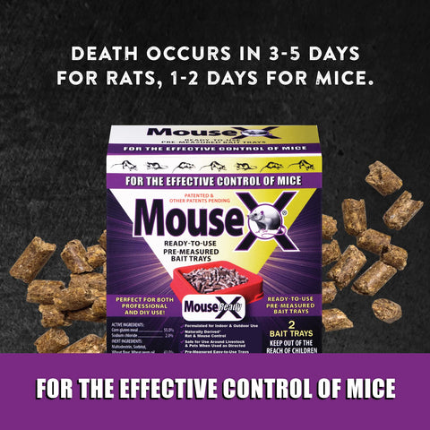 EcoClear MouseX patented mechanical kill system avoids poisons.