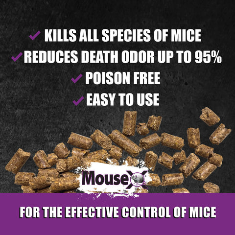 EcoClear MouseX poison-free formula supports safer spaces.