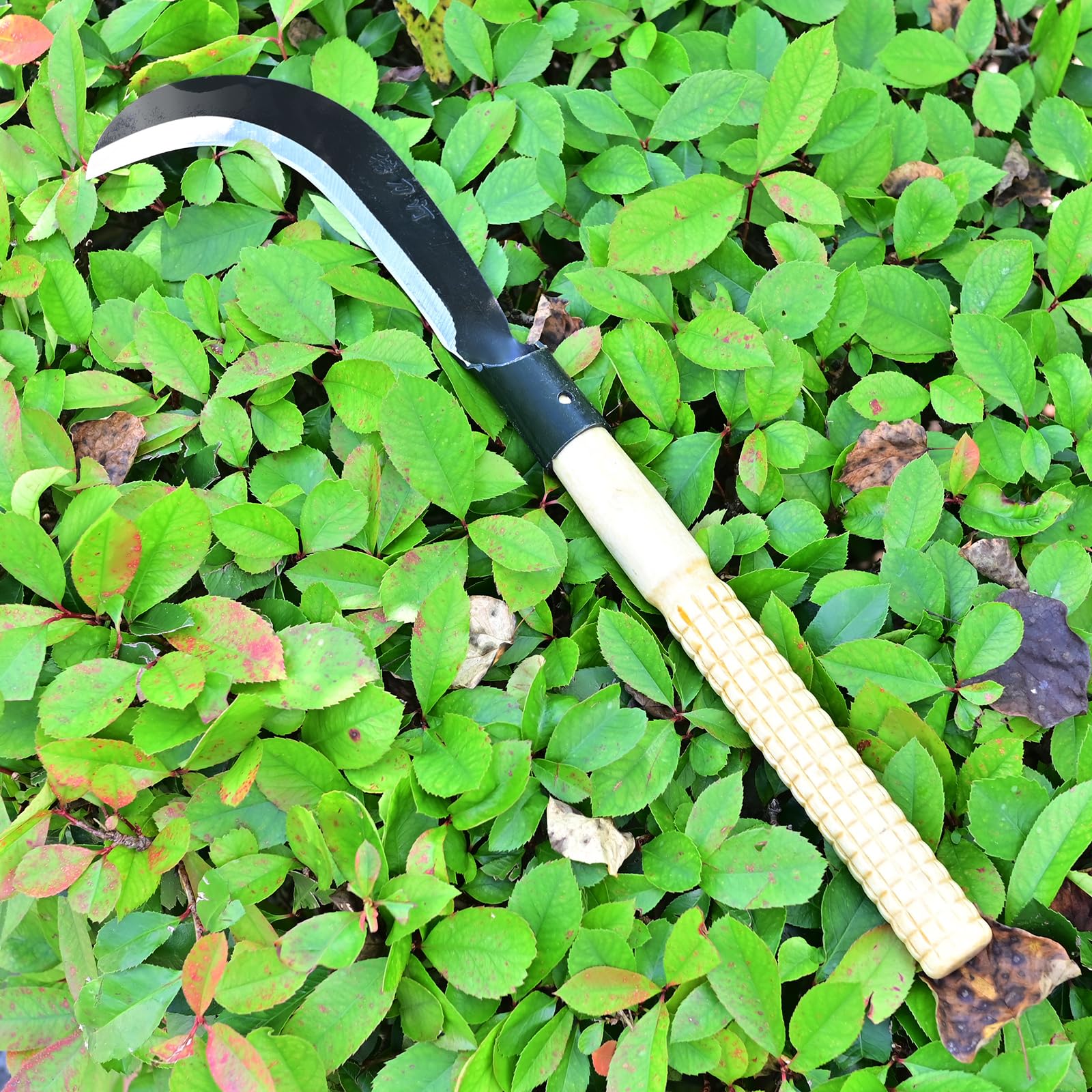 EcoDigiLife Billhook Sickle helps garden edging with clean cuts