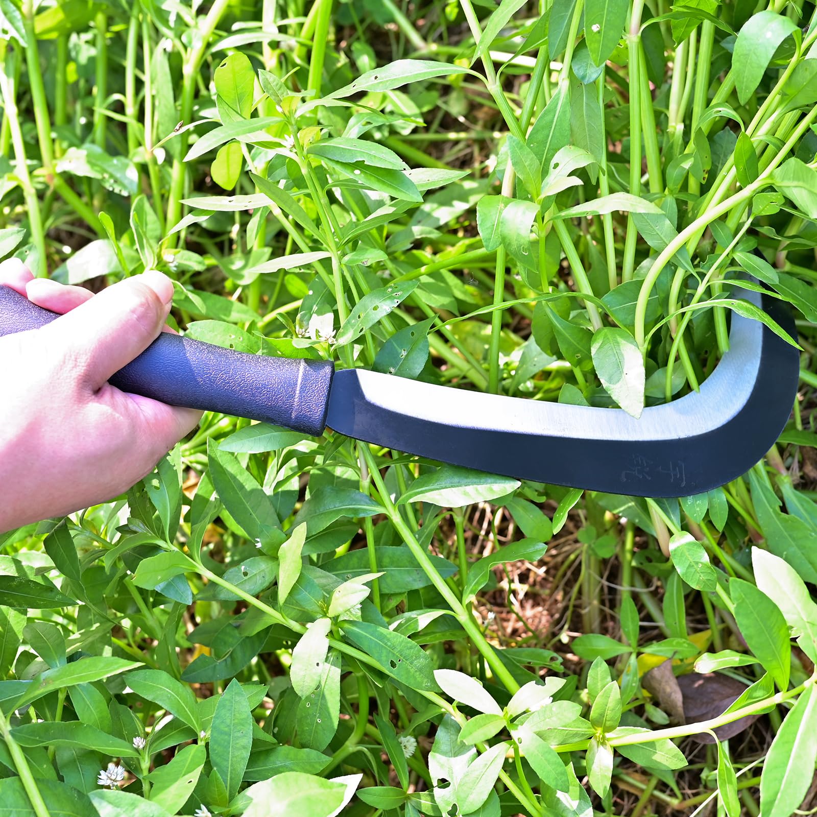 EcoDigiLife machete blade close-up showing a sharp tempered edge for easy cutting