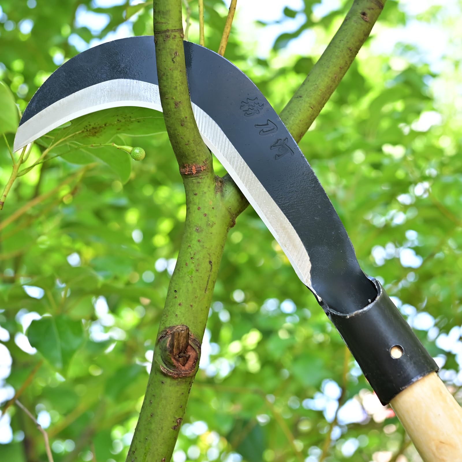 EcoDigiLife Portable safe sickle design for easy storage