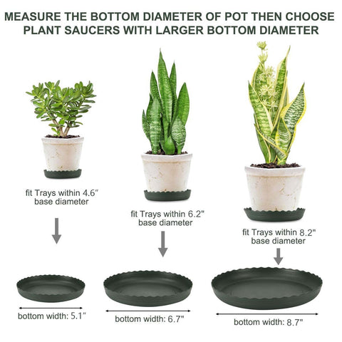 ECOESPTI 6-inch plant saucer keeps pot drainage at bay and floors safe.