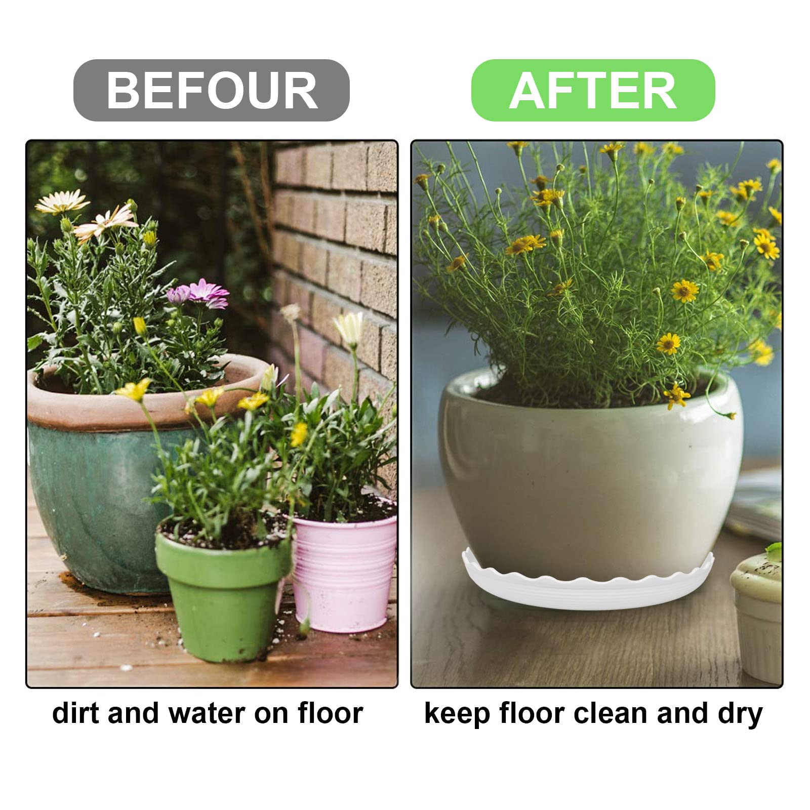 ECOESPTI 8-inch white plant saucer fits larger pots with secure drainage.