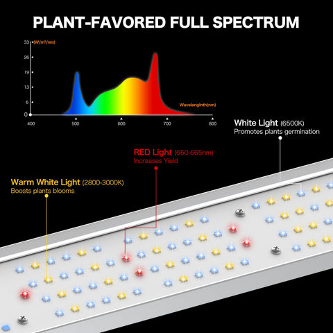 ECOHOM daisy-chain system enables synchronized lighting across multiple units.