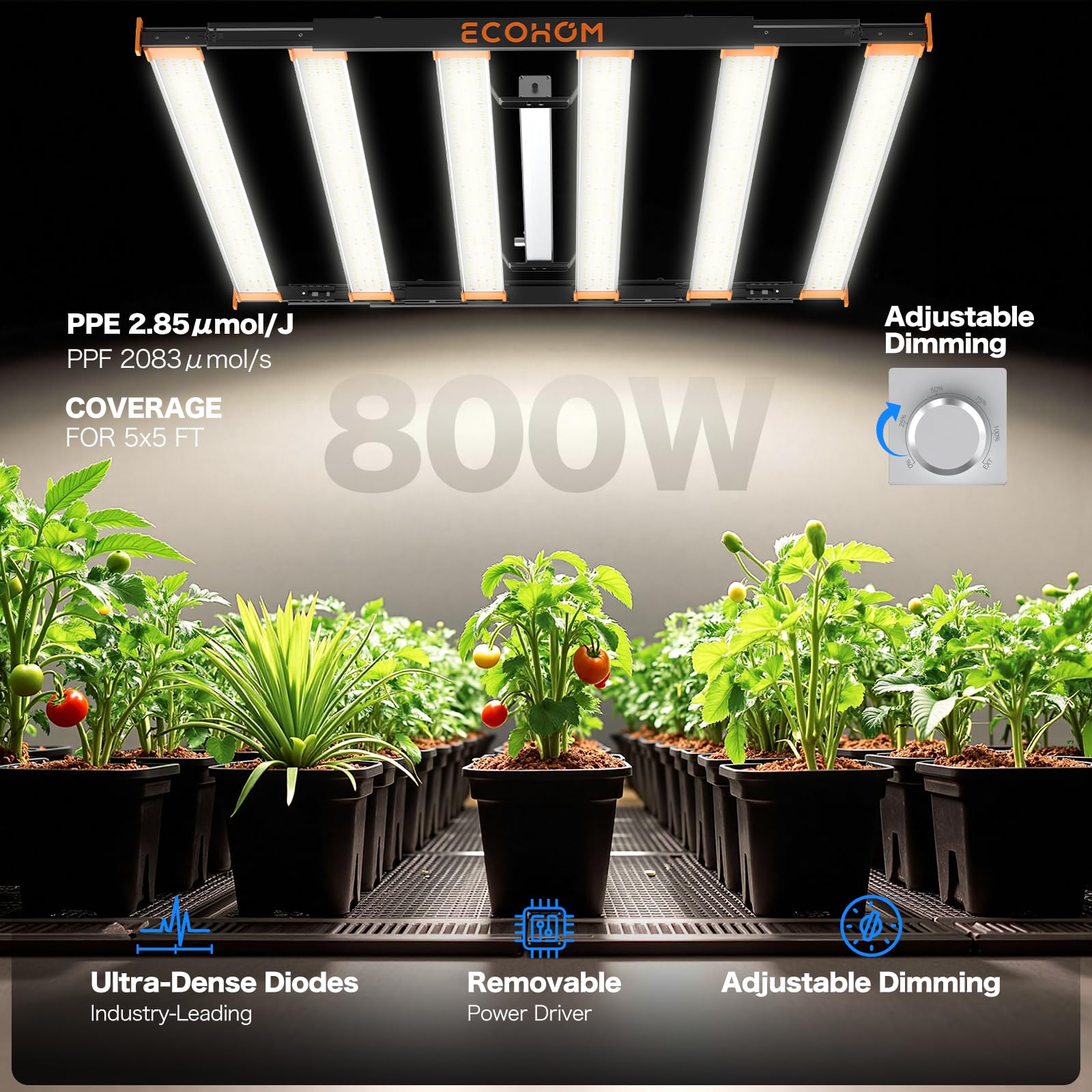 ECOHOM full-spectrum LED highlights 3000K/5000K and 660nm for vigorous vegetative growth.