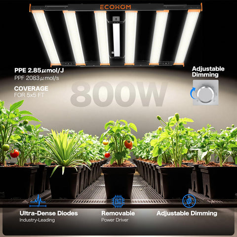 ECOHOM full-spectrum LED highlights 3000K/5000K and 660nm for vigorous vegetative growth.