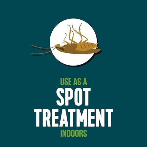 EcoLogic Ant and Roach Killer is designed for indoor and outdoor use.