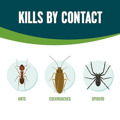 EcoLogic Ant and Roach Killer spray targets hiding insects in cracks and crevices.