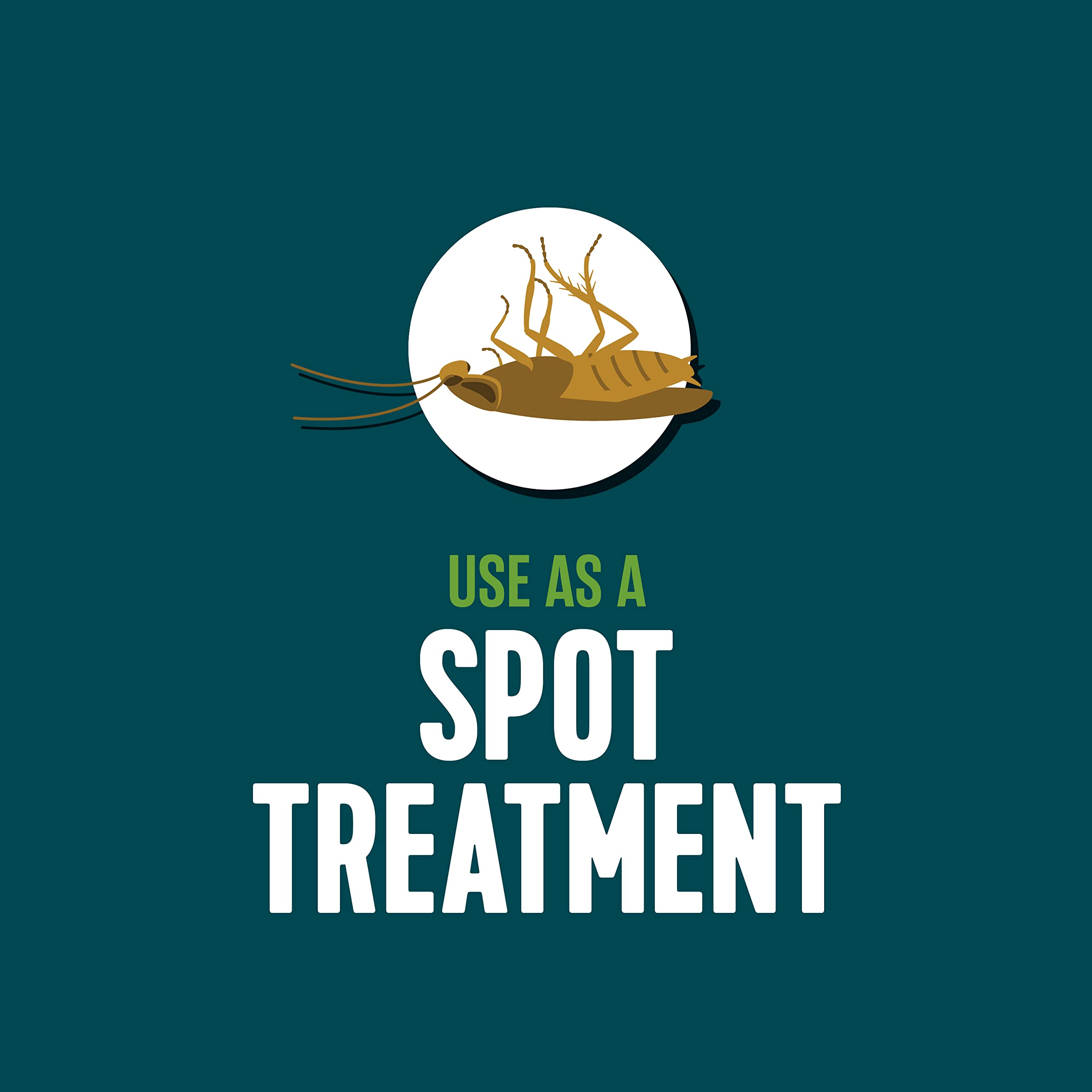 EcoLogic spray at kitchen cracks provides precise spot treatment.
