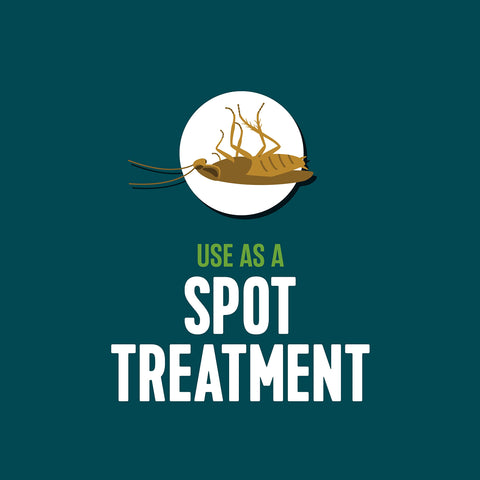 EcoLogic spray at kitchen cracks provides precise spot treatment.