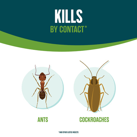 EcoLogic Home Insect Control spray action illustrates quick contact pest kill.