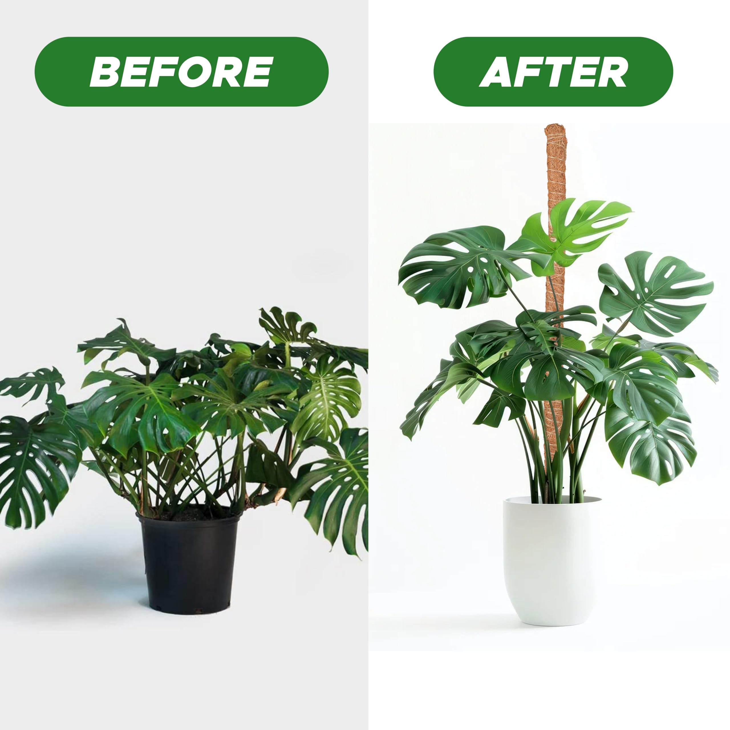 EcoNour 28 inch moss pole for medium to large indoor plants