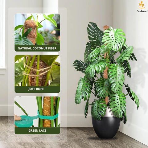 EcoNour pothos philodendron moss pole staking supports vertical growth
