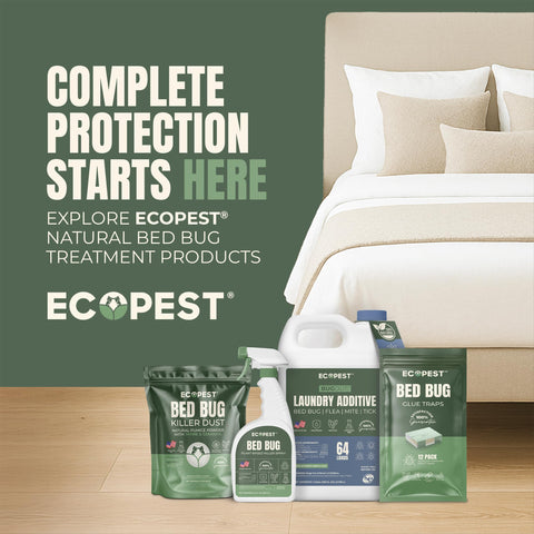 ECOPEST Bed Bug Blocker XL, large-capacity traps for broader posts.