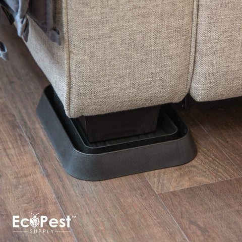 ECOPEST Bed Bug Blocker XL traps, textured surface deters climb.