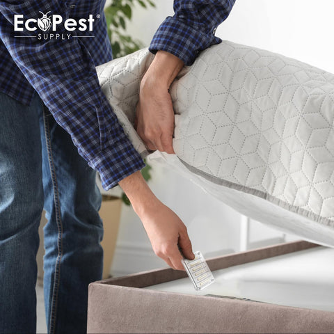 Luggage-friendly traps for travel use by ECOPEST Bed Bug Detector.