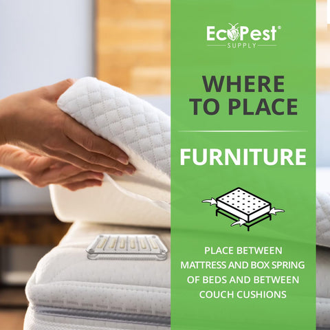 Non-toxic and pesticide-free ECOPEST detectors support continuous monitoring.