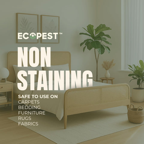 EcoPest Bed Bug Spray baseboards spray area for hiding spots control.