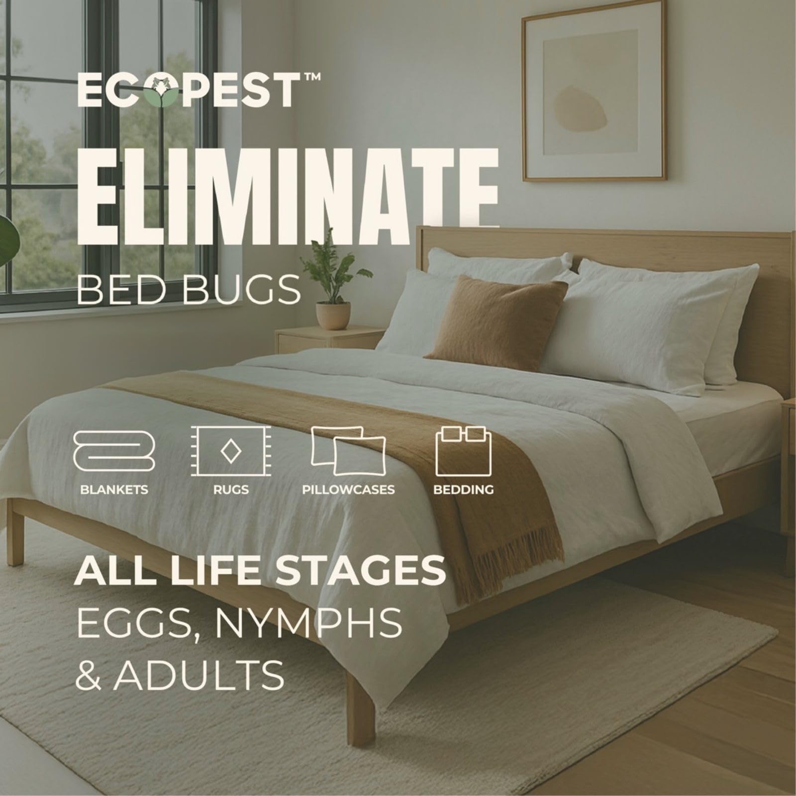 EcoPest Bed Bug Spray couch cushions sprayed for living room protection.