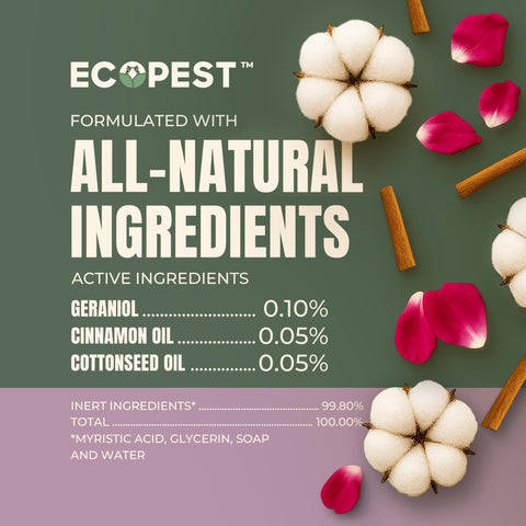 EcoPest spray along baseboard line illustrates residue-free, non-staining performance.