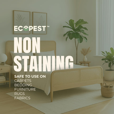 EcoPest spray on a rug fiber demonstrates targeted control at common beetle hotspots.