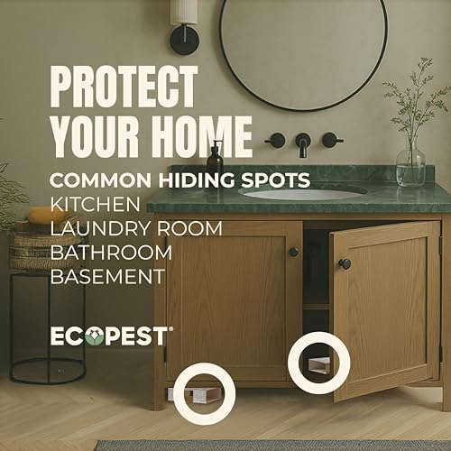 EcoPest non-toxic traps offer safe monitoring for households.