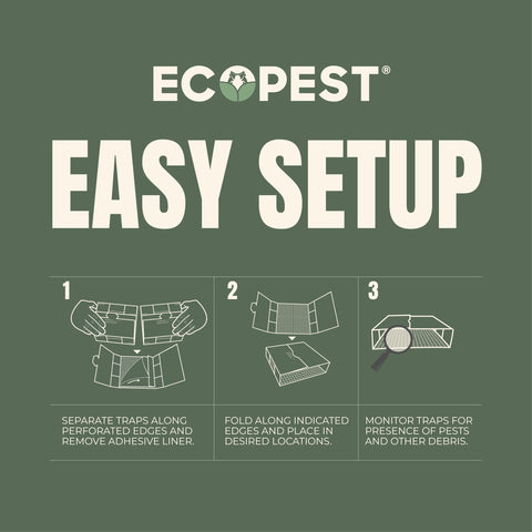 EcoPest Silverfish Trap highlights perforated edges for easy expansion to 20 units.